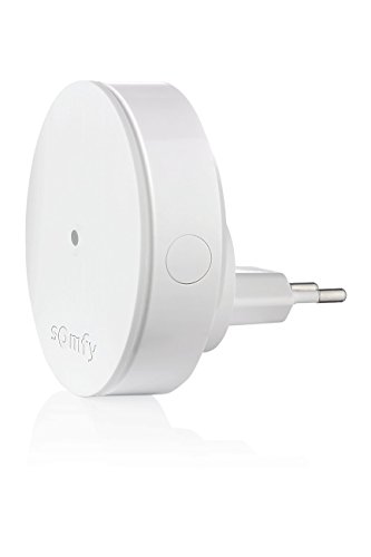 Somfy 2401495 - Relais Radio | Ameliore La Portee Radio | Compatible Home Alarm (advanced) Et Somfy One (+)