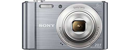 Sony Appareil photo compact DSCW 810 Argent