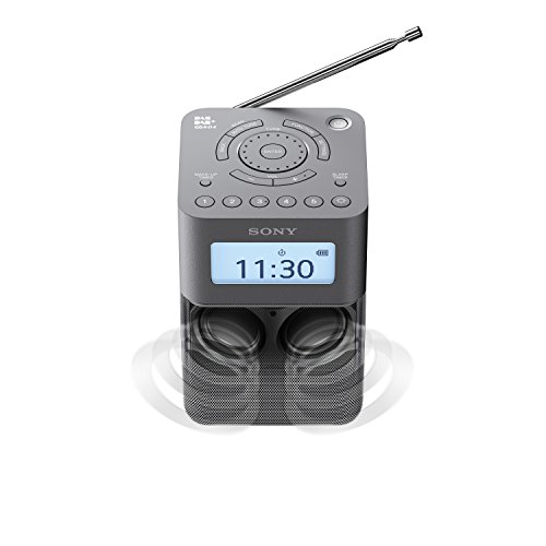 Sony Xdr-v20d Radio Portable Digitale Da...