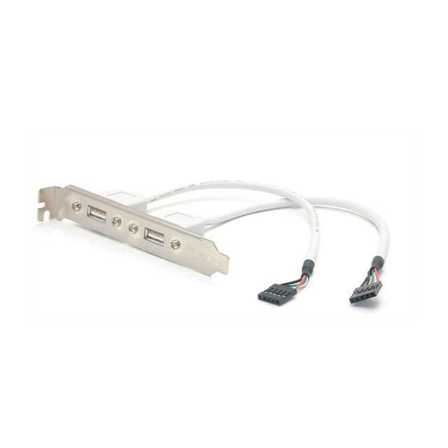 StarTech.com Equerre USB 2 ports - Adaptateur Slot USB - Faible Encombrement (LP) Adaptateur Carte Mere vers Plaque 2 Ports