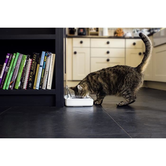 Surefeed Distributeur De Nourriture Automatique Pour Chat Anti Odeur Blanc Livre Avec Un Bol Simple