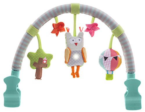 Taf Toys - Arche Hibou Jouets Musical