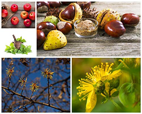 Gel Pour Cils - Talika - Lipocils Expert - 10ml - Edition Limitee - Pousse Et Pigmentation Naturelle