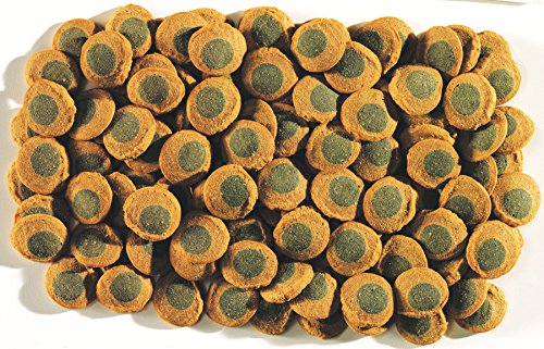 Tetra Pleco Multi Wafer 250 Ml