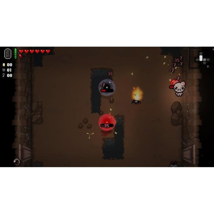 The Binding of Isaac Afterbirth