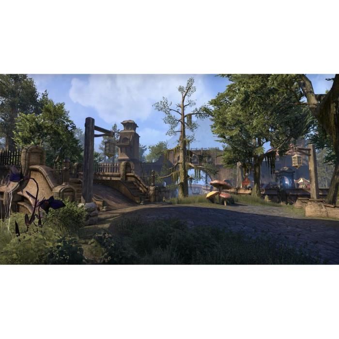 Bethesda The Elder Scrolls Online - Morrowind Ps4