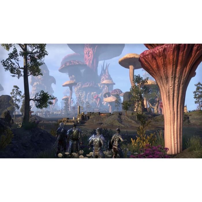 Bethesda The Elder Scrolls Online - Morrowind Ps4