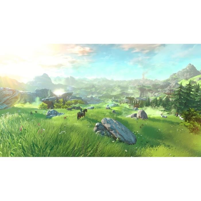 The Legend Of Zelda : Breath Of The Wild Jeu Wii U