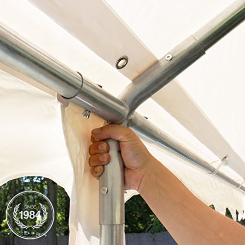 Toolport 4x8 M Tente De Reception/barnu ...