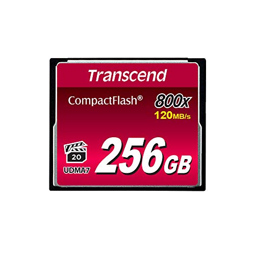 Transcend Premium Carte Memoire Flash 256 G