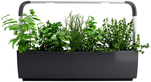 Tregen Potager Connecte T12 - Pour 12 Aromates, Petits Legumes, Fleurs Avec Application Smartphone - Gris