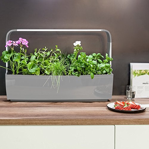 Tregen Potager Connecte T12 - Pour 12 Aromates, Petits Legumes, Fleurs Avec Application Smartphone - Gris