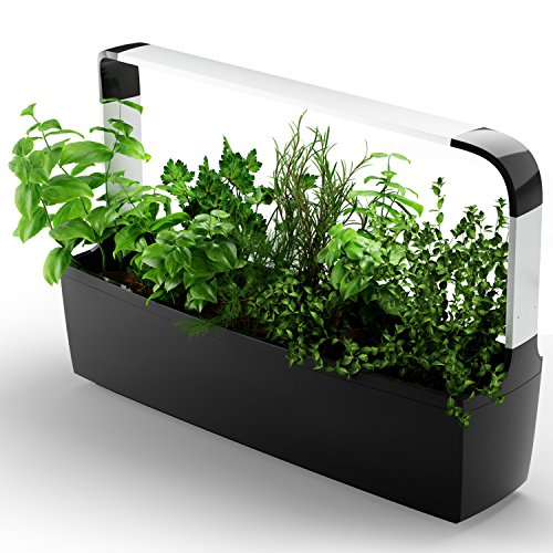 TREGEN Potager connecte T12 Pour 12 aromates petits legumes fleurs avec application Smartphone Noir