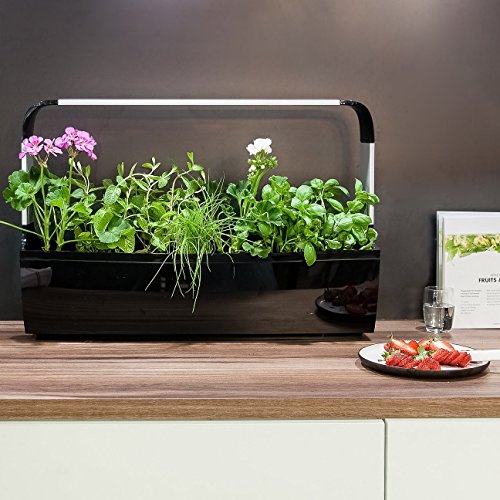 Tregen Potager Connecte T12 Pour 12 Aromates Petits Legumes Fleurs Avec Application Smartphone Noir