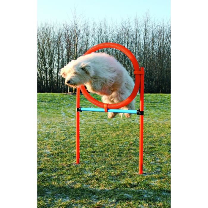 Trixie Cerceau Dagilite Pour Chiens 115 X 3cm Plastique