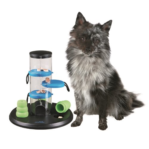Dog Activity Gambling Tower
