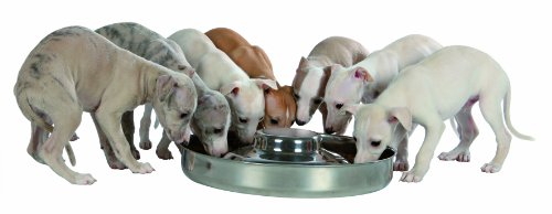Écuelle - Trixie - 40 L - Acier Inoxydable - Pour Chiots - Diametre 38 Cm