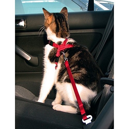 Harnais de securite voiture pour chat