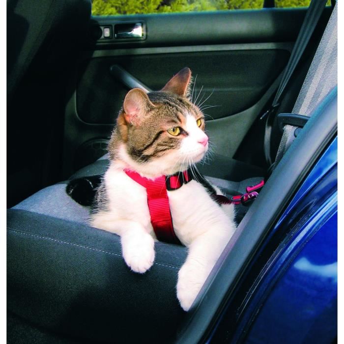 Harnais Pour Voiture Pour Chat Trixie 20 50cm15mm Ceinture Abdominale Rembourree Rouge