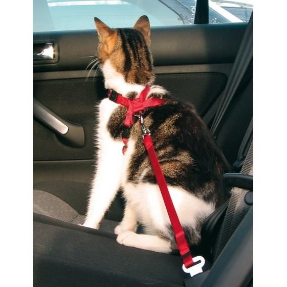 Harnais Pour Voiture Pour Chat Trixie 20 50cm15mm Ceinture Abdominale Rembourree Rouge