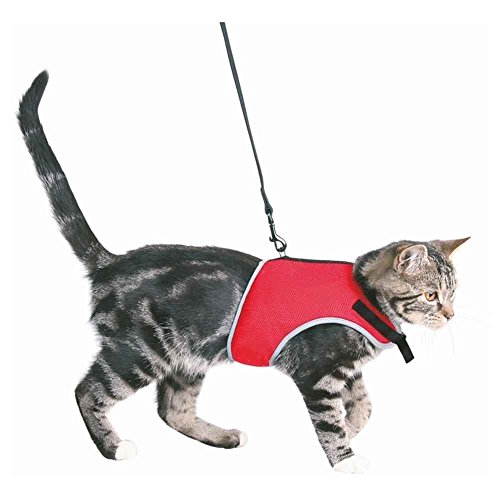 Harnais et laisse XCat Trixie avec sticker pour chat - rouge