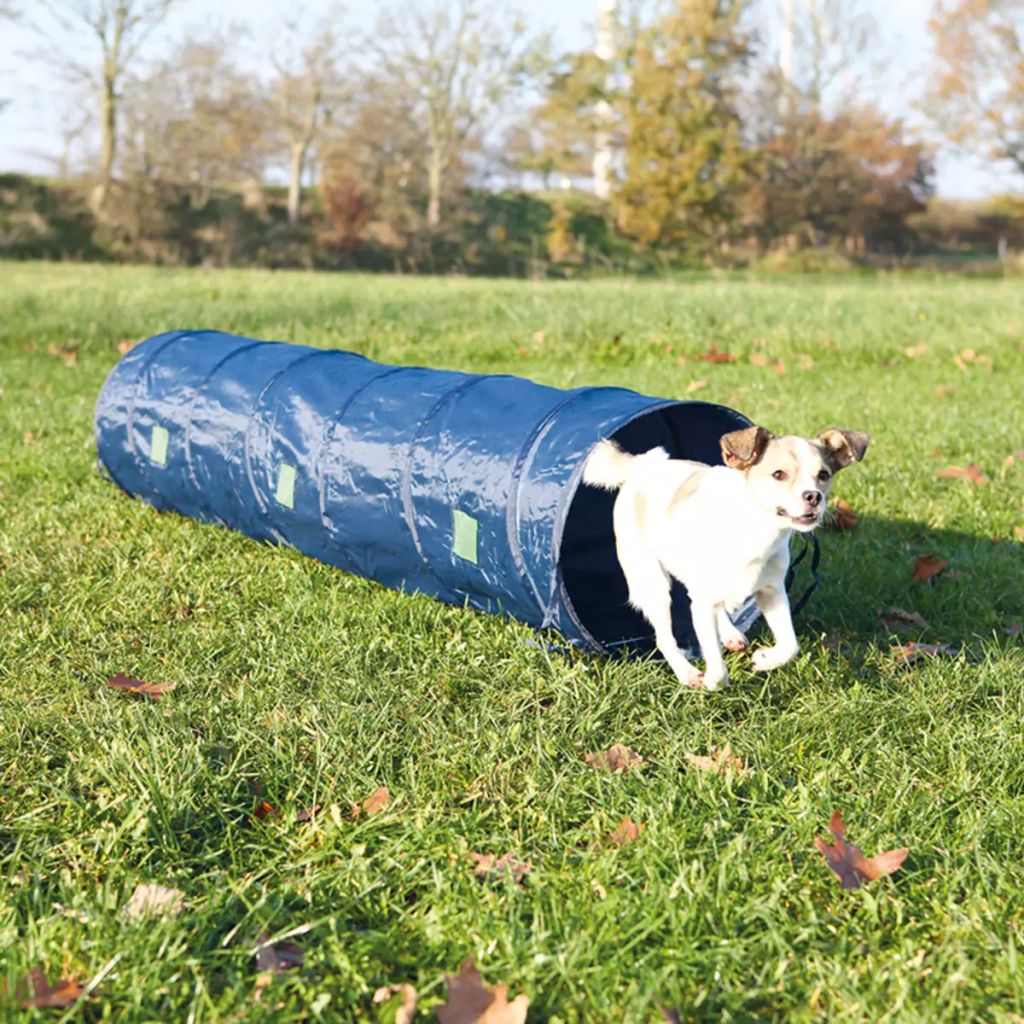 Trixie Tunnel De Parcours Dagilite 2 M Bleu