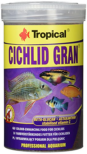 Tropical Cichlid Granulat Pour Aquarioph...