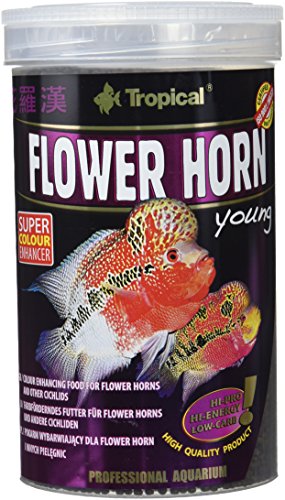 Tropical Flower Horn Young Pellet Nourri...