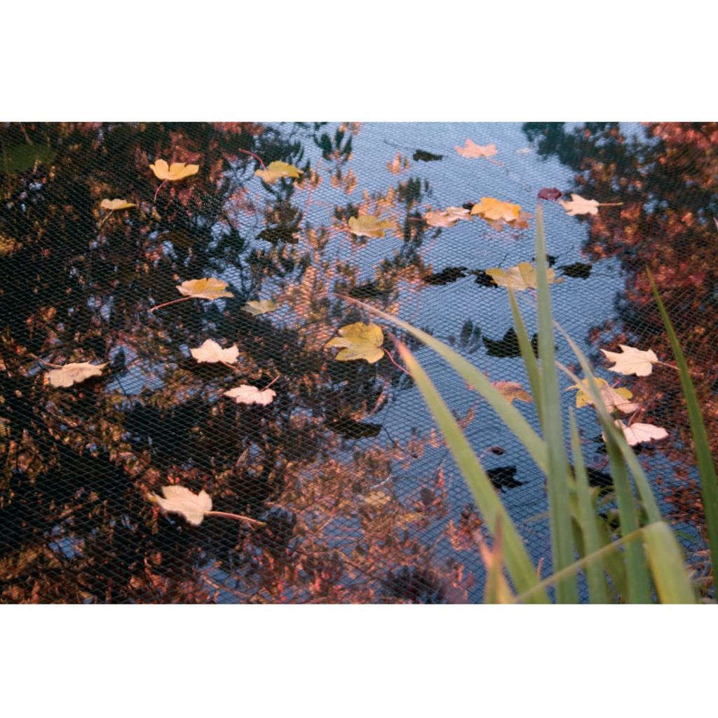 Filet De Protection Pour Feuilles Ubbink + 10 Piquets Ancrage, 3 X 6 M