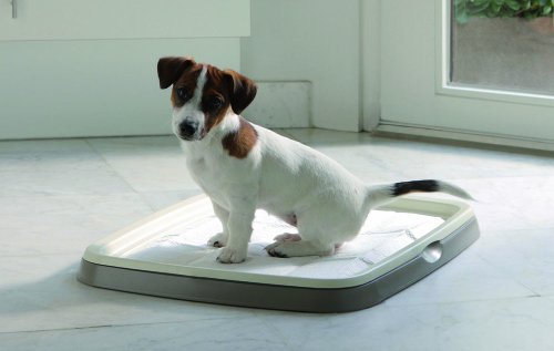 Toilettes pour chiot Savic Puppy Trainer - lot economique : set...