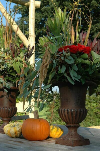 Vase Medicis En Fonte Hauteur 20 Cm
