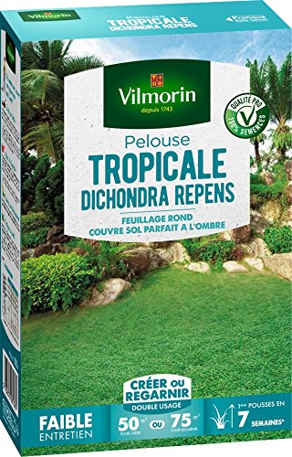 Pelouse tropicale dichondra repens 500 g