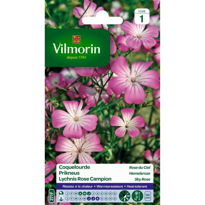 VILMORIN Coquelourde Rose du Ciel