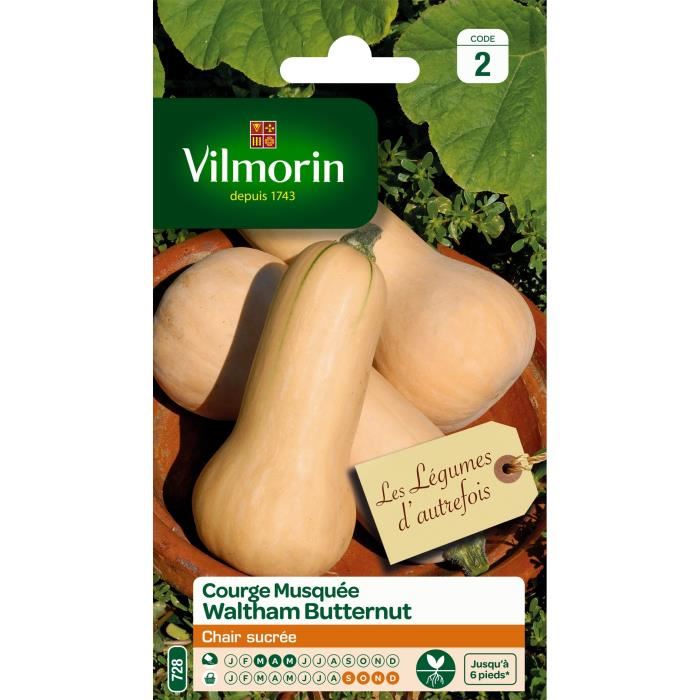 Vilmorin Courge Waltham Butternut