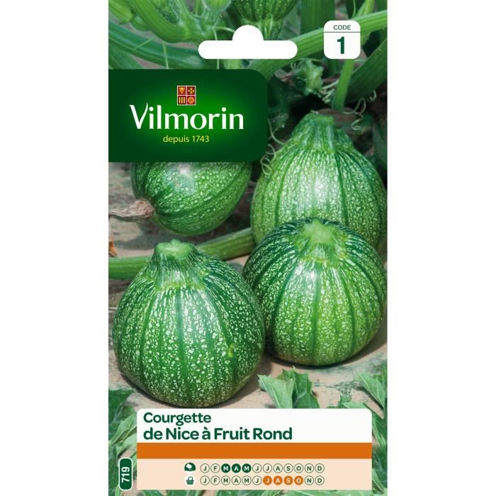 VILMORIN Courgette de Nice a fruit rond