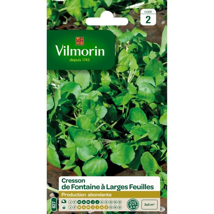 VILMORIN Cresson de Fontaine a larges feuilles