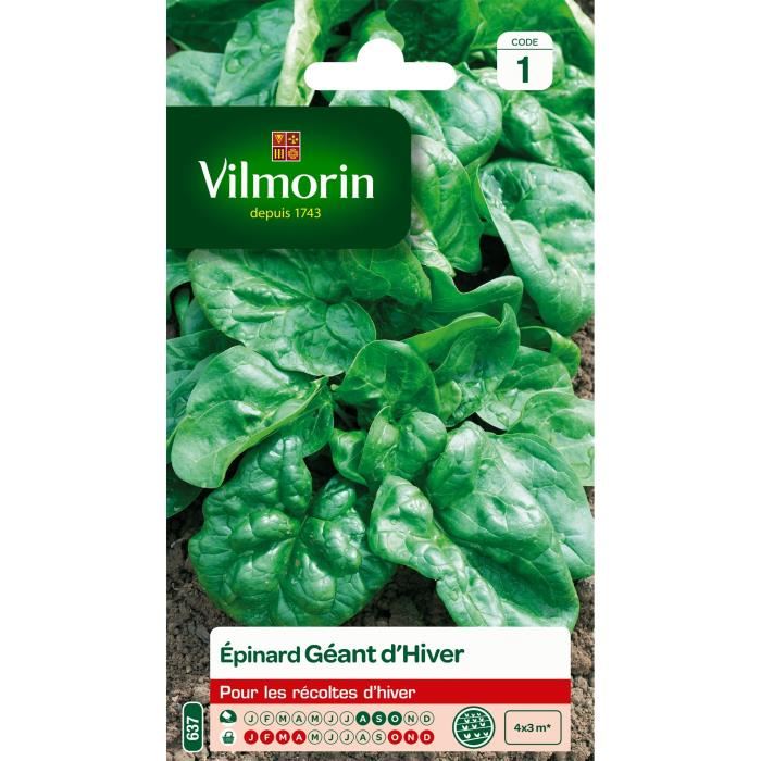 Vilmorin Epinard Geant Dhiver