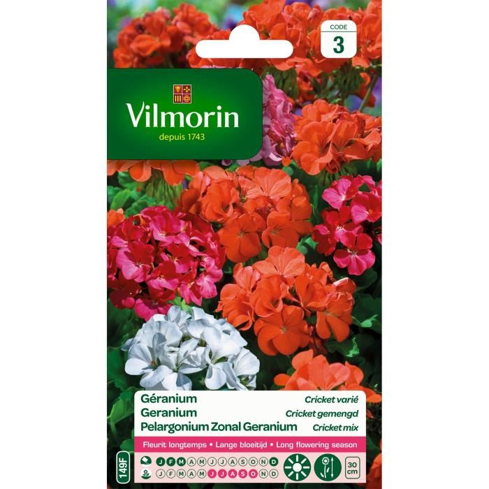 VILMORIN Geranium Cricket varie