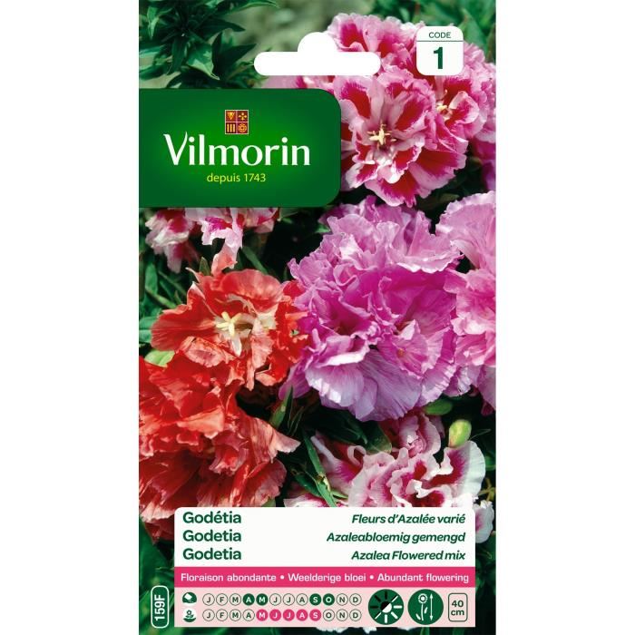 VILMORIN Godetia double a fleur dazalee varie