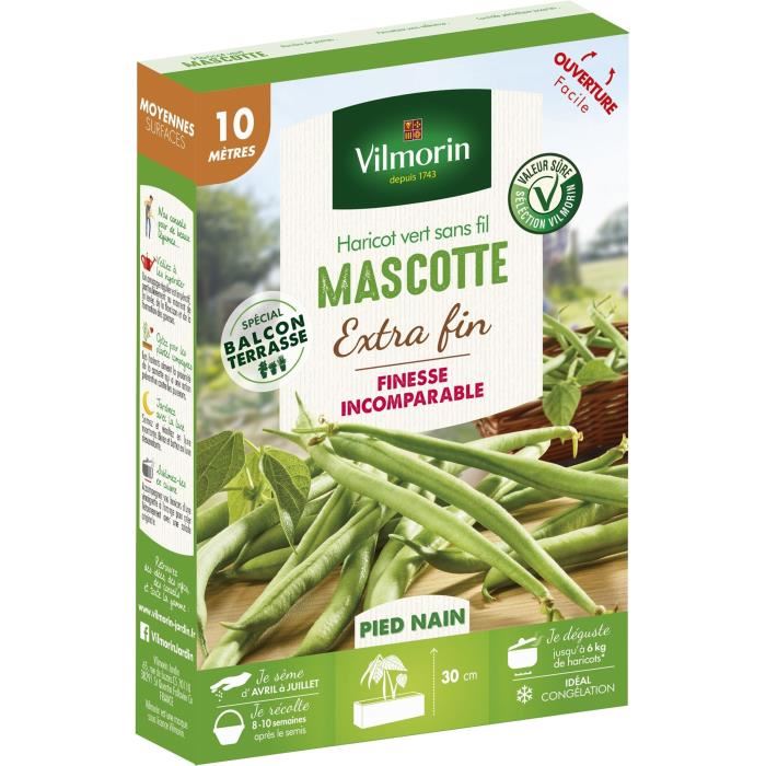Semences pour haricot nain de la variete mascotte - 10 m