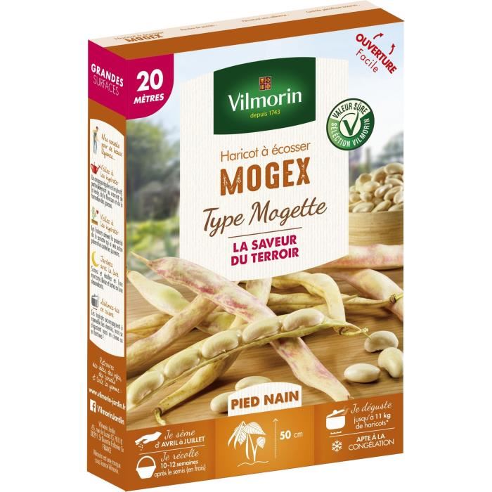 Semences pour haricot nain de la variete mogex - 20 m
