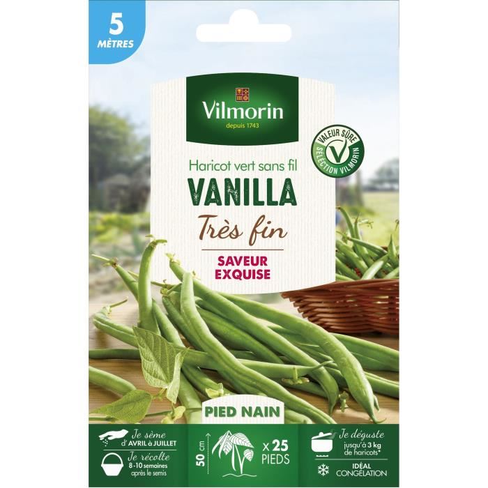 Vilmorin - Graines De Haricot Vert Sans ...