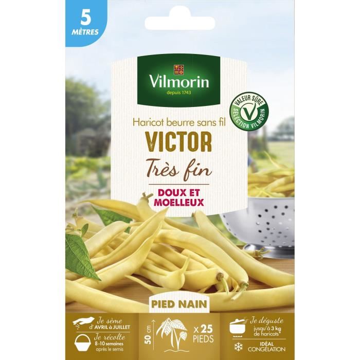 Semences pour haricot nain de la variete victor - 5 m