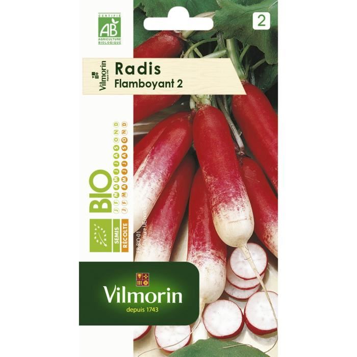 Sachet Graines Radis Flamboyant 2 Bio -r...