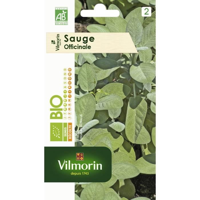 Graine - Vilmorin - Sauge Officinale - Bio