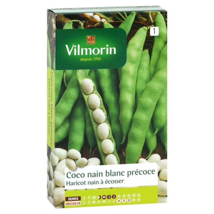 Vilmorin Haricot Coco Nain Blanc Precoce Sachet De Graines