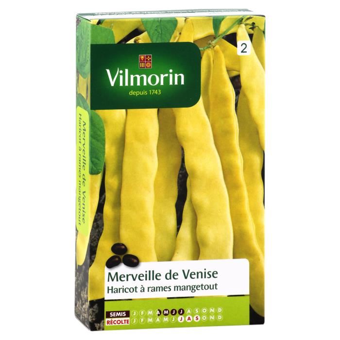 VILMORIN Haricot Merveille de Venise Sachet de graines Mangetout beurre