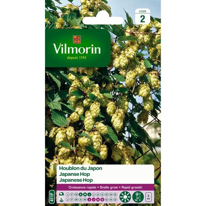 Plante Vivace - Vilmorin - Houblon Du Japon - Feuillage Dense - Croissance Rapide - Jaune