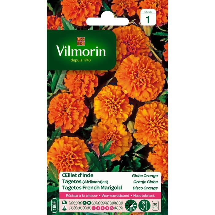 VILMORIN Œillet d'Inde Globe orange