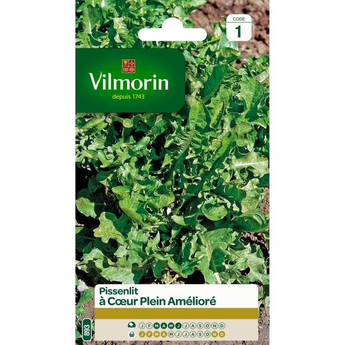 Vilmorin - Pissenlit Cœur Plein - Plant...